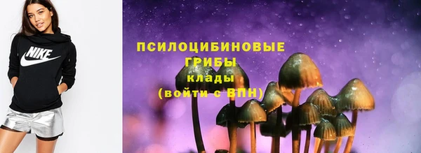 ПСИЛОЦИБИНОВЫЕ ГРИБЫ Верхнеуральск