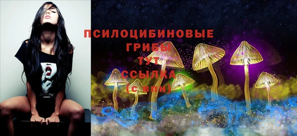 марки nbome Верея